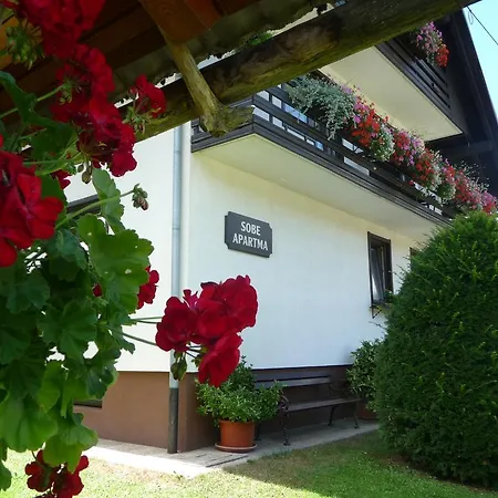 & Malej Lägenhet Bohinj