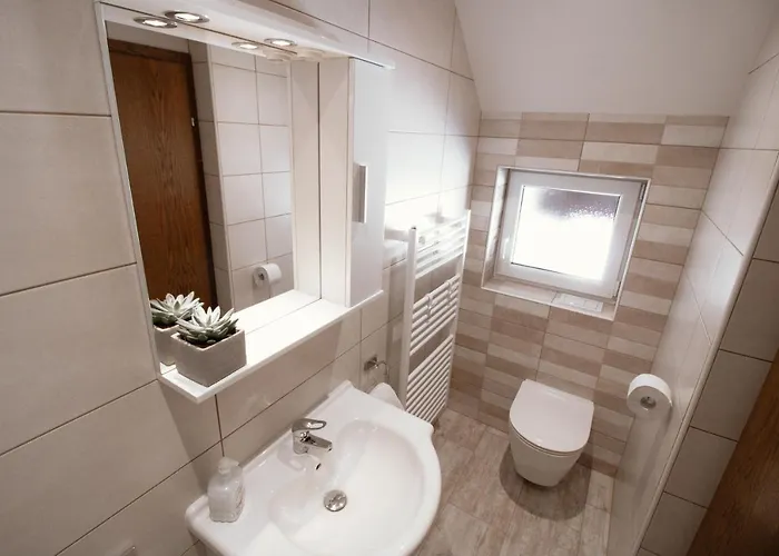 & Malej ボーヒニ